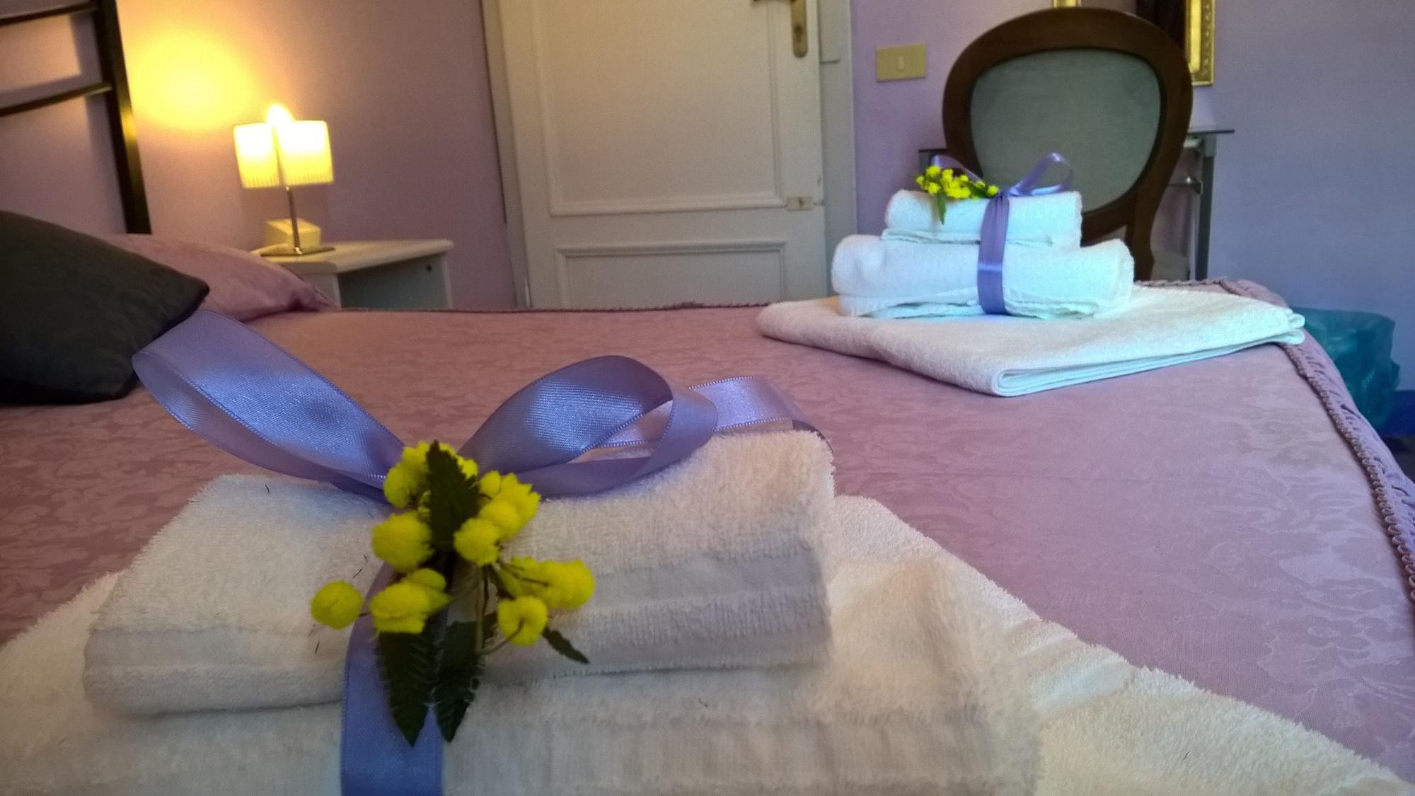 B&B La Mimosa Lukka Zewnętrze zdjęcie